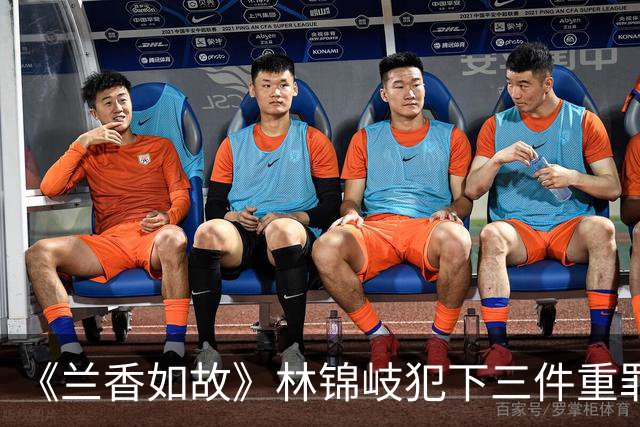 《兰香如故》林锦岐犯下三件重罪，每一件都能灭族，林家如履薄冰