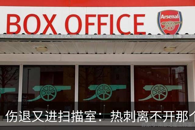 伤退又进扫描室：热刺离不开那个29岁的“变数”