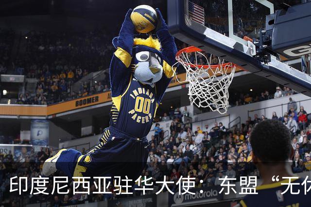 印度尼西亚驻华大使：东盟“无休止会议”带来的启示