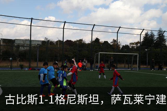古比斯1-1格尼斯坦，萨瓦莱宁建功