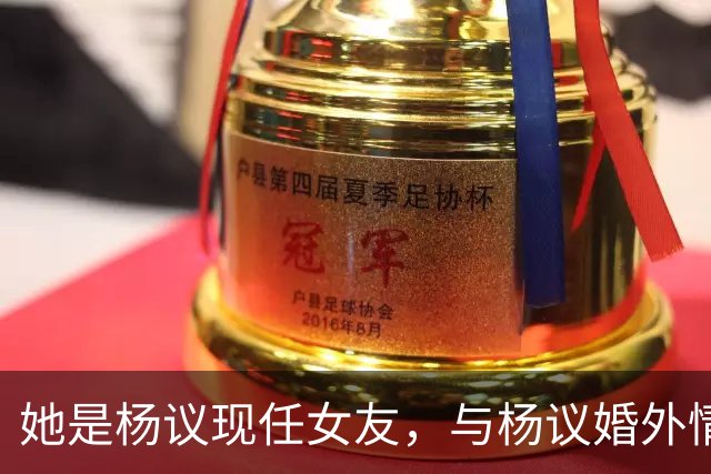 她是杨议现任女友，与杨议婚外情17年有个儿子，曾与正妻同住一屋