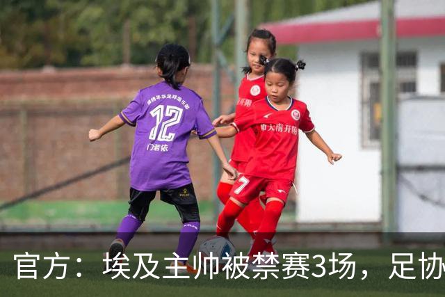 官方：埃及主帅被禁赛3场，足协准备上诉
