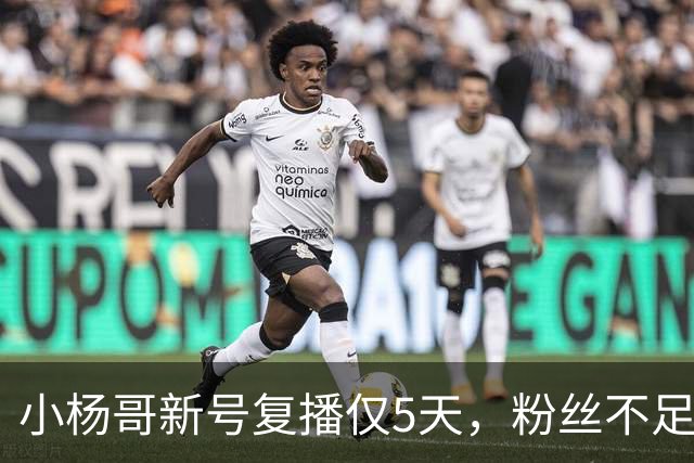 小杨哥新号复播仅5天，粉丝不足10万，直播间观看人数不到2000