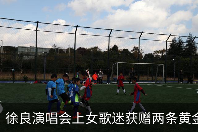徐良演唱会上女歌迷获赠两条黄金小象项链，总重4.83克价值约6000元，当事人：第一次收到良哥的礼物，惊喜又幸运