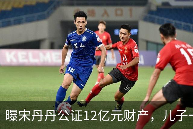 曝宋丹丹公证12亿元财产，儿子一家每月领80万，分配名单未列丈夫！