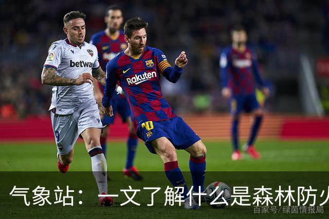 气象站：一文了解什么是森林防火气象站
