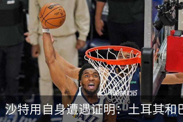 沙特用自身遭遇证明：土耳其和巴基斯坦并不适合成为真正的忠实盟友