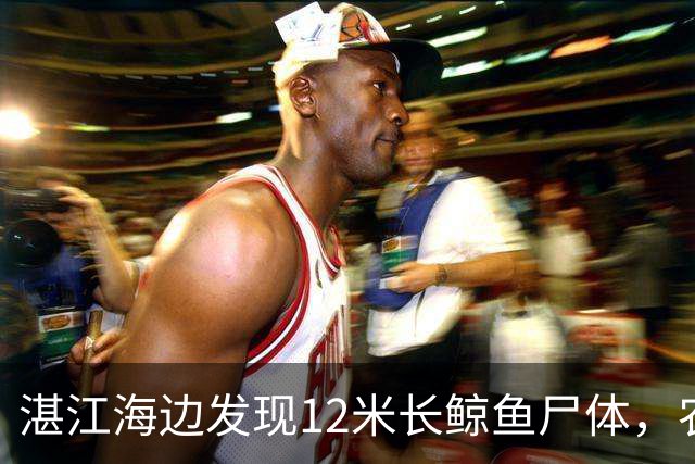 湛江海边发现12米长鲸鱼尸体，农业农村局：已漂走且有爆炸风险，请船只和人员勿靠近
