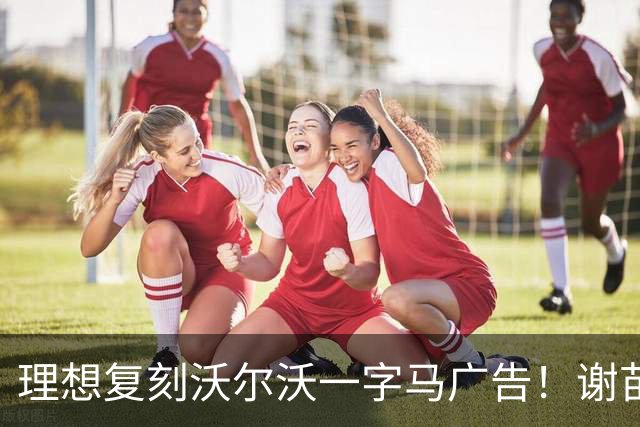 理想复刻沃尔沃一字马广告！谢苗在两台L9上打太极