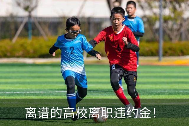 离谱的高校离职违约金！