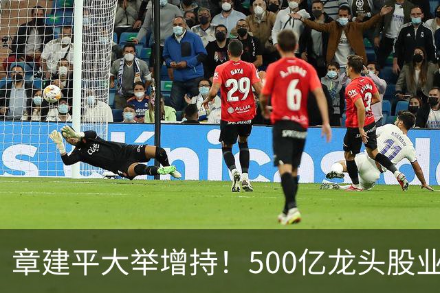 章建平大举增持！500亿龙头股业绩大增超8倍