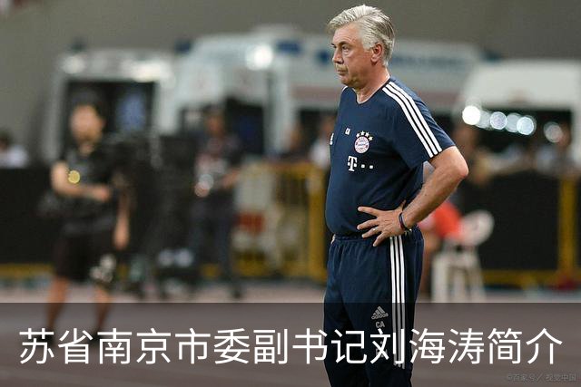 苏省南京市委副书记刘海涛简介