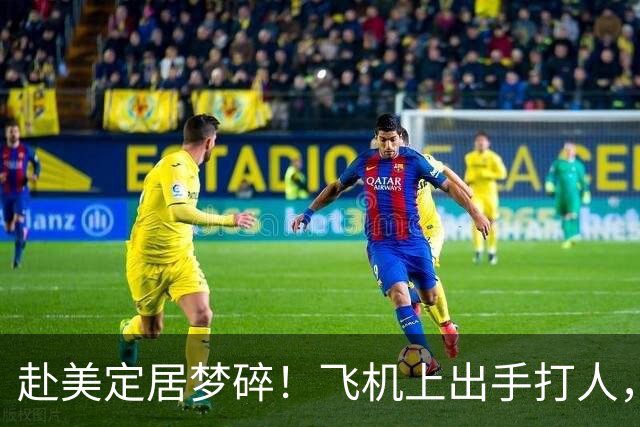 赴美定居梦碎！飞机上出手打人，一家三口刚落地就被遣返