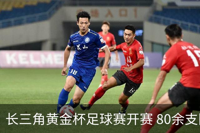 长三角黄金杯足球赛开赛 80余支队伍浙江海盐以球会友