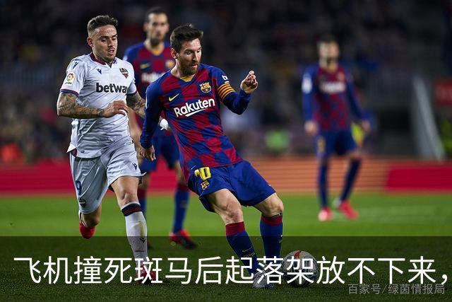 飞机撞死斑马后起落架放不下来，30人是怎么落地的？