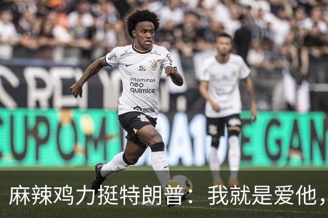麻辣鸡力挺特朗普：我就是爱他，不会为此找任何借口