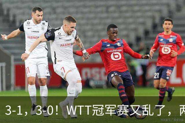3-1，3-0！WTT冠军赛又乱了，两大争冠热门出局，周启豪缔造惊喜