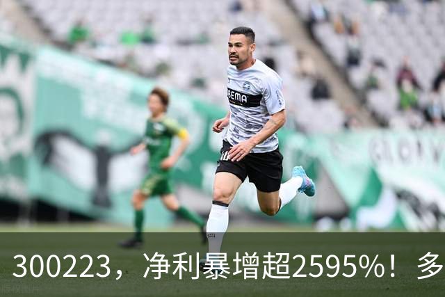 300223，净利暴增超2595%！多家A股公司业绩爆发