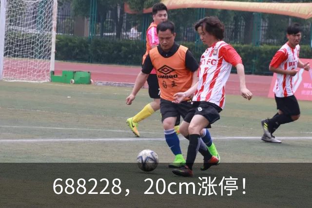 688228，20cm涨停！