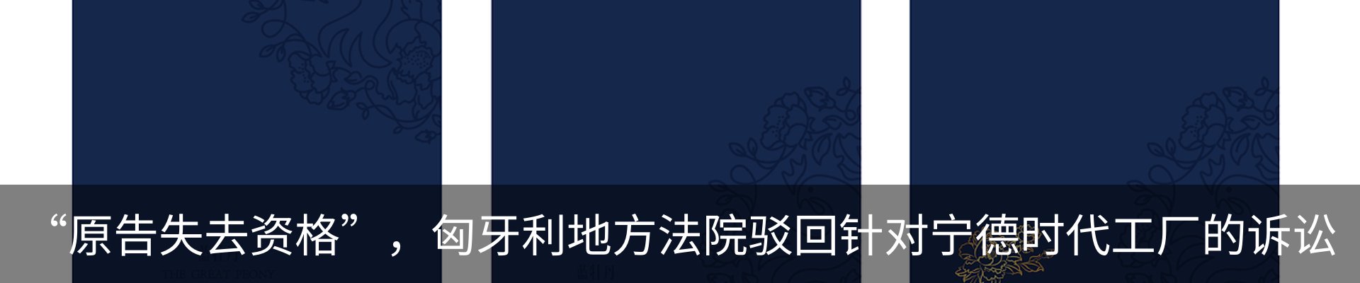 最新动态