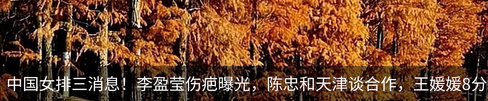 最新动态