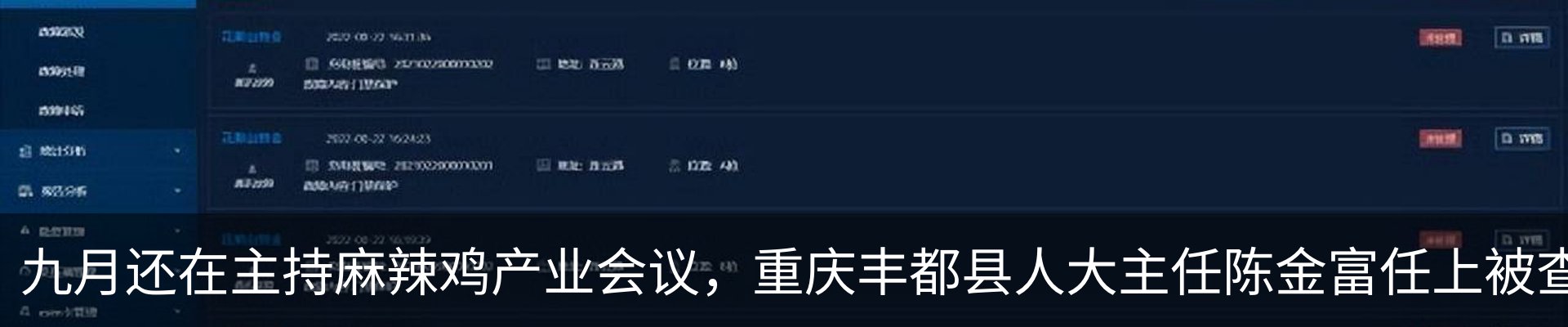 最新动态