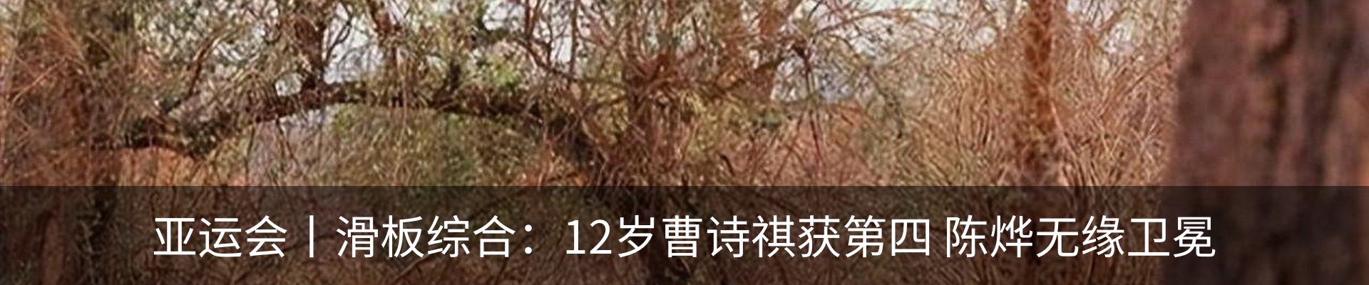 最新动态