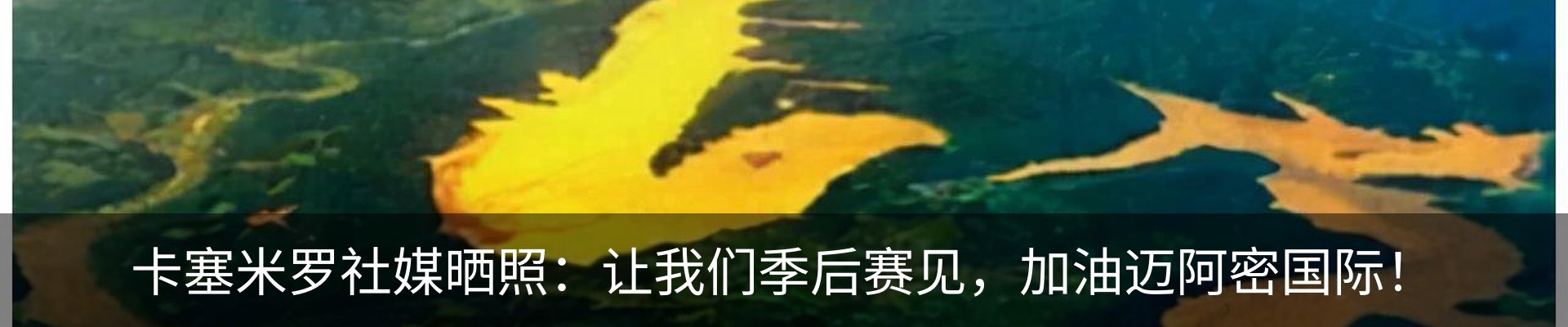 最新动态