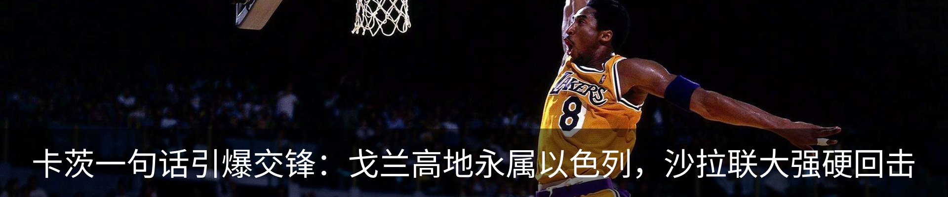 最新动态