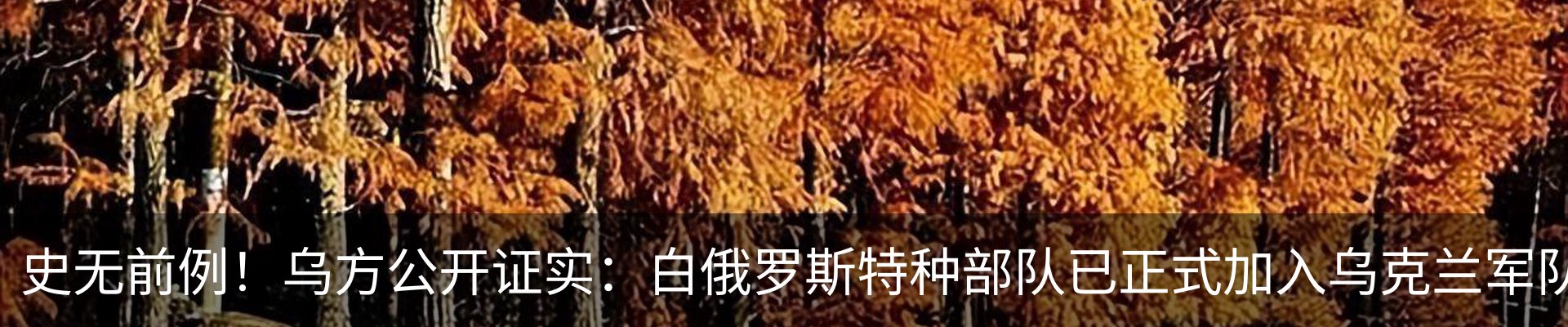 最新动态