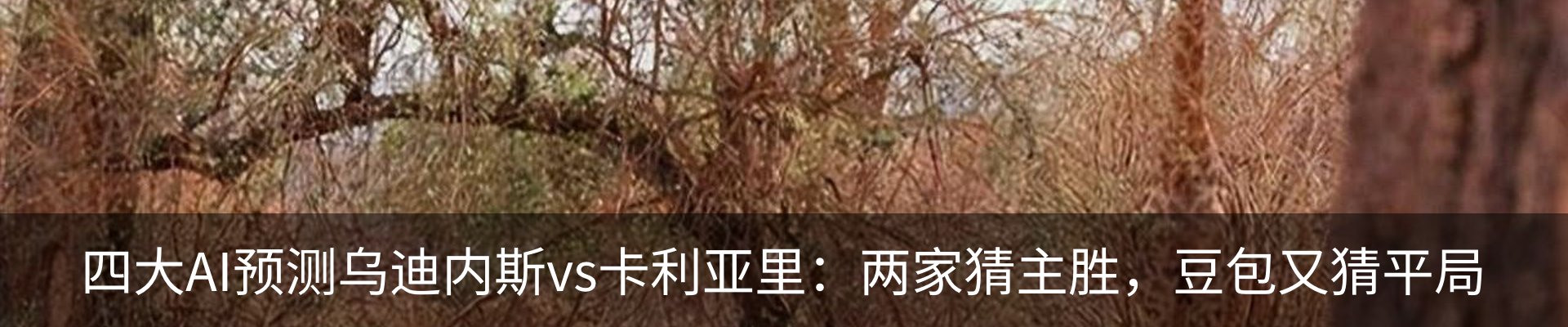 最新动态