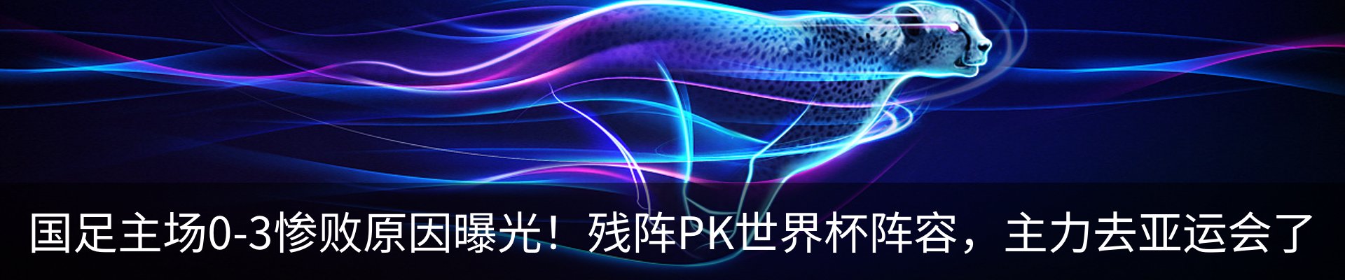 最新动态
