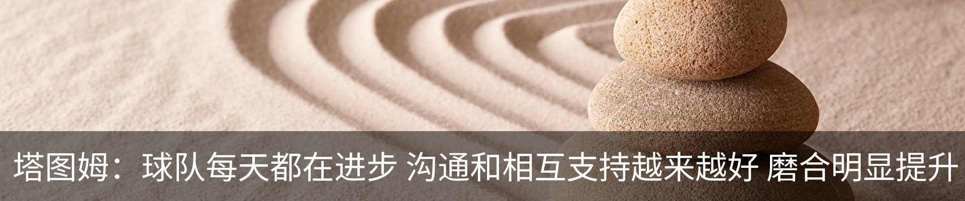 最新动态