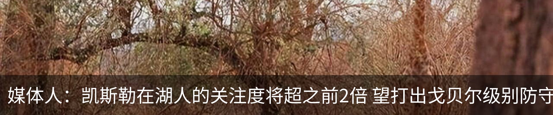 最新动态