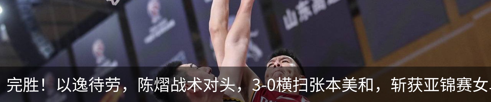 最新动态
