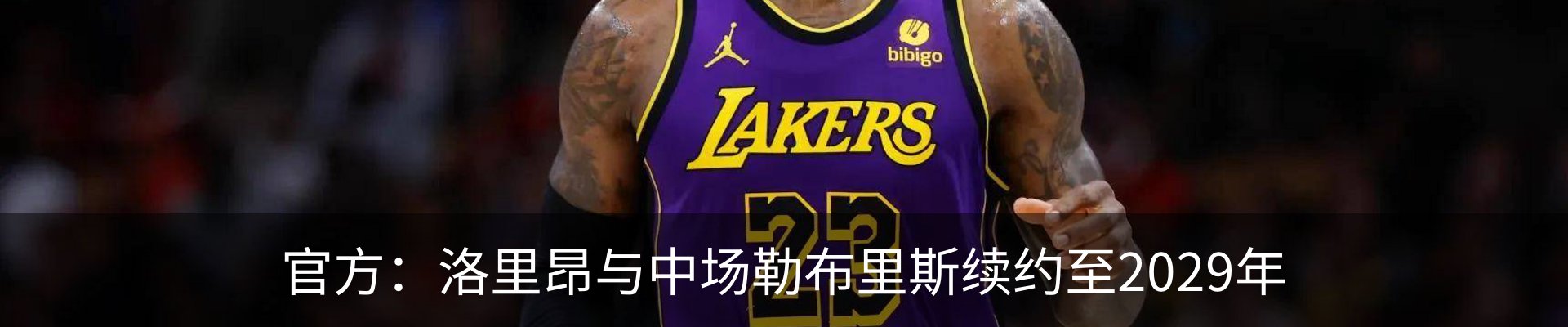 最新动态