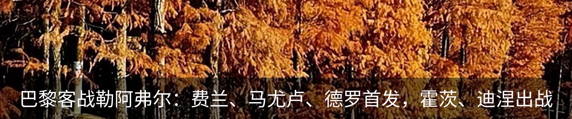 最新动态