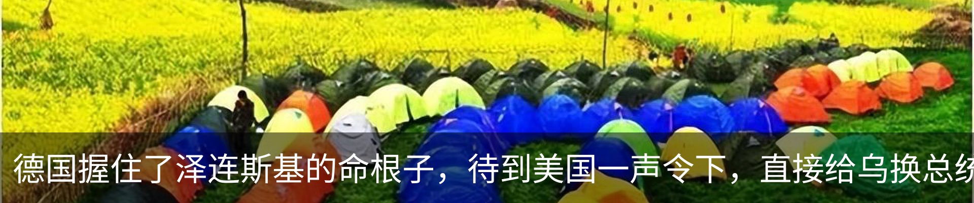 最新动态