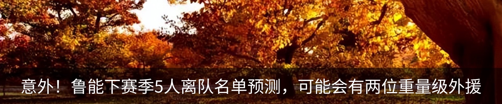 最新动态