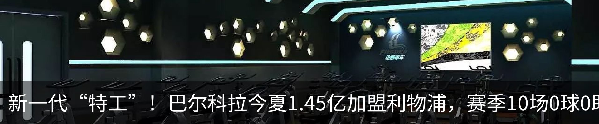最新动态