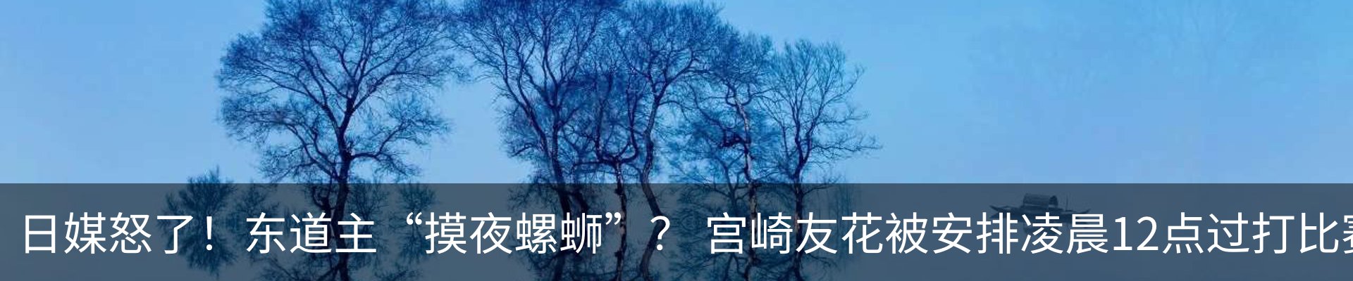 最新动态