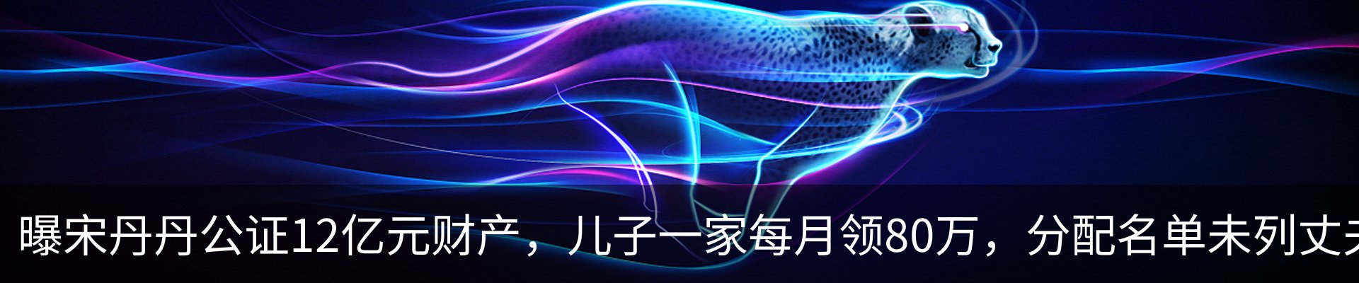 最新动态