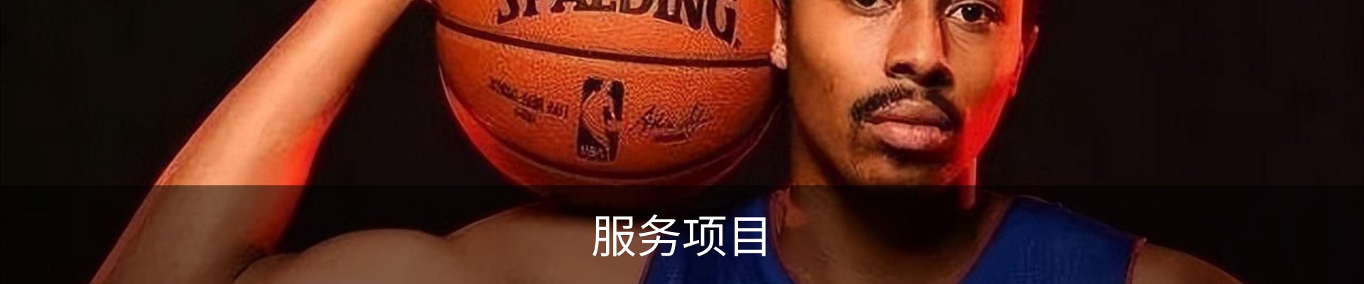 服务项目