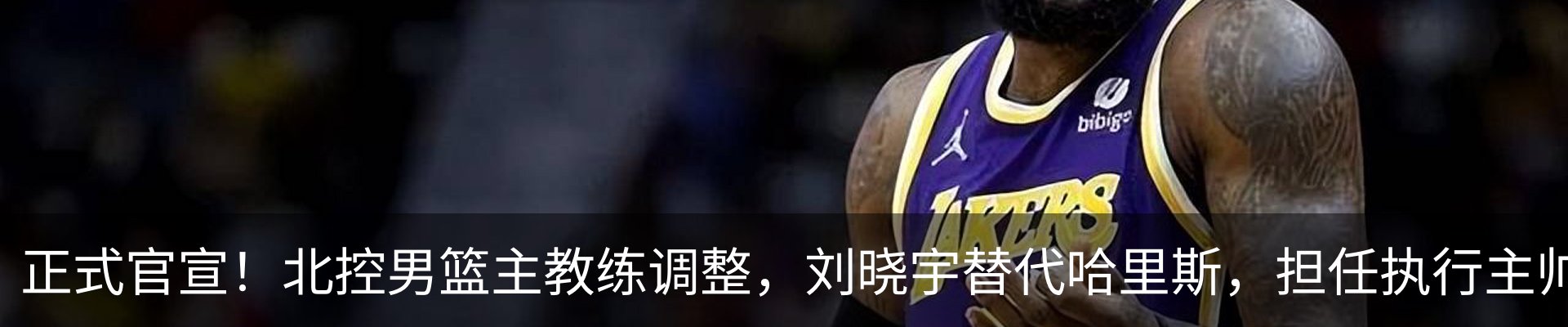 最新动态
