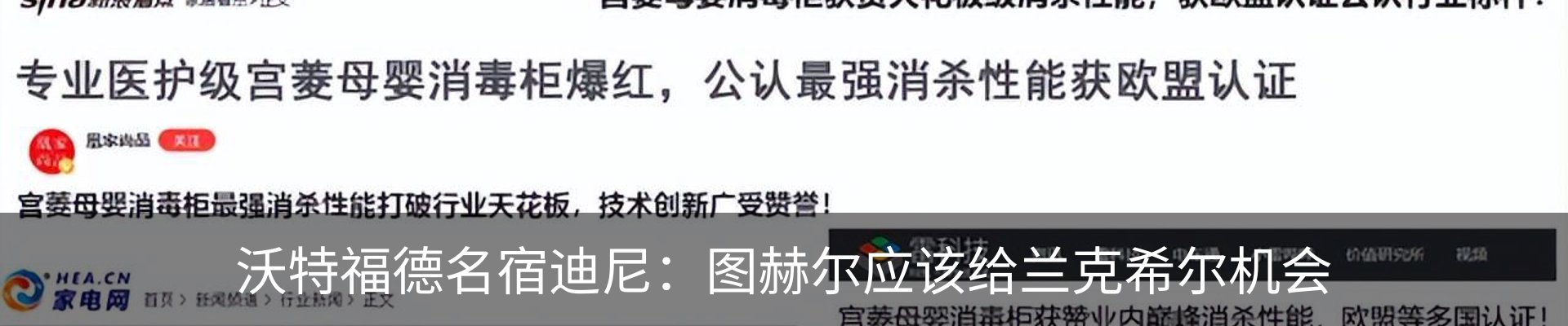 最新动态