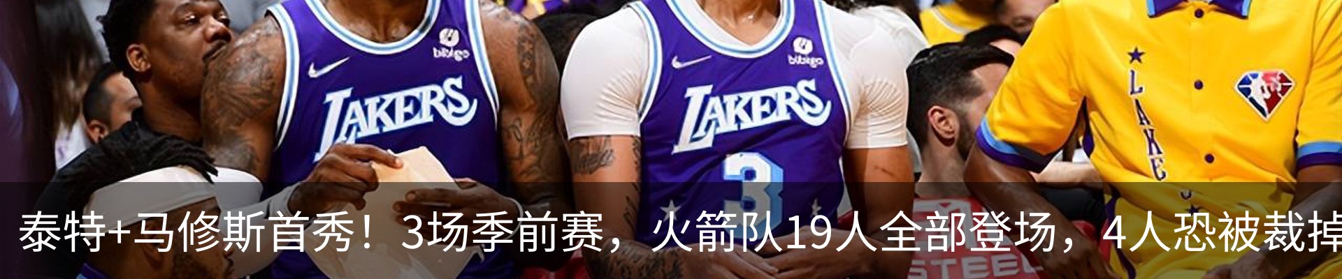 最新动态