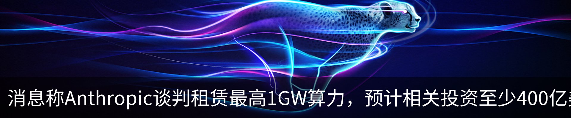 最新动态