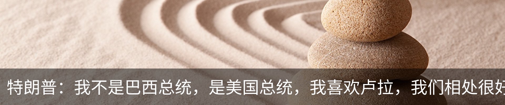 最新动态