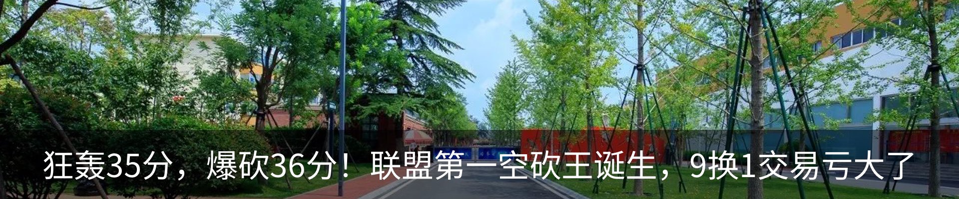 最新动态