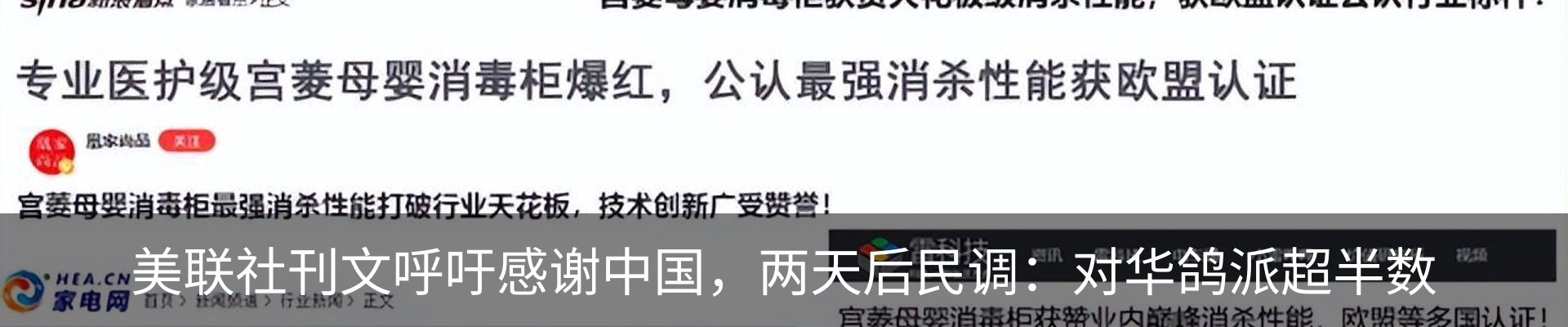 最新动态